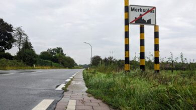steenweg op weelde
