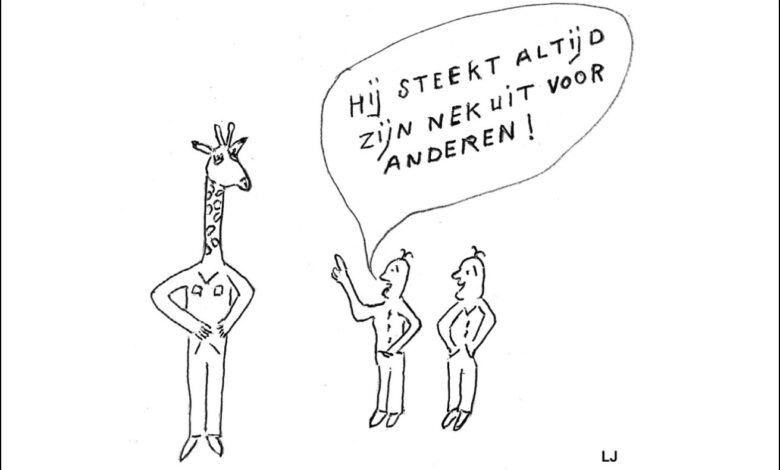 schone schijn