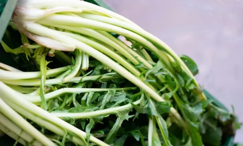 puntarelle salade kreeft avocado