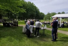 belevingspad