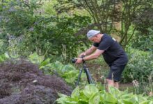 natuur plantentuin fotowerkgroep Natuurpunt