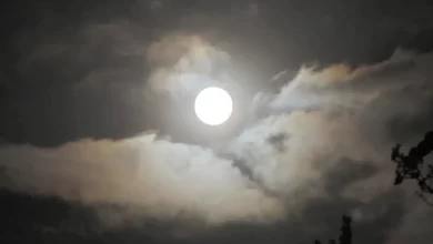 maan