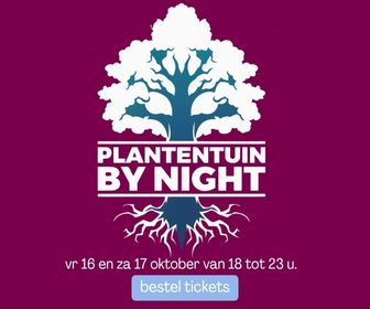 Kom genieten van de Plantentuin by Night